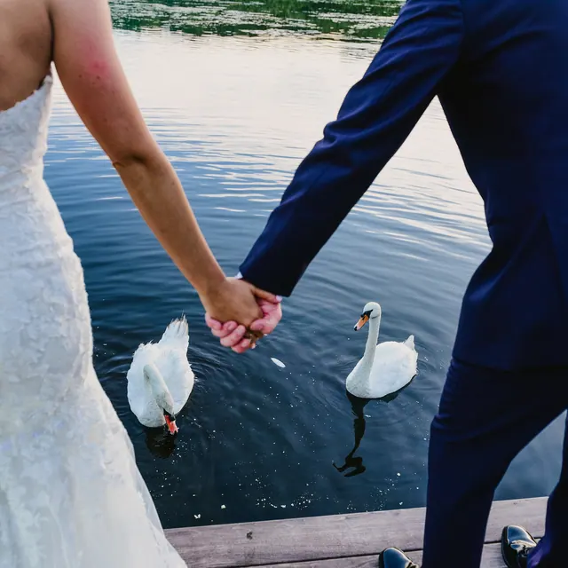 Wedding photo 11 by Sara Robinson, Fresh New Angle Events photographer
